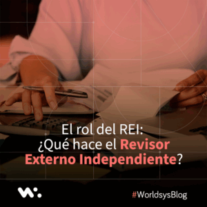 El rol del REI: ¿Qué hace el Revisor Externo Independiente?